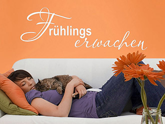 Wandtattoo Fr�hlingserwachen