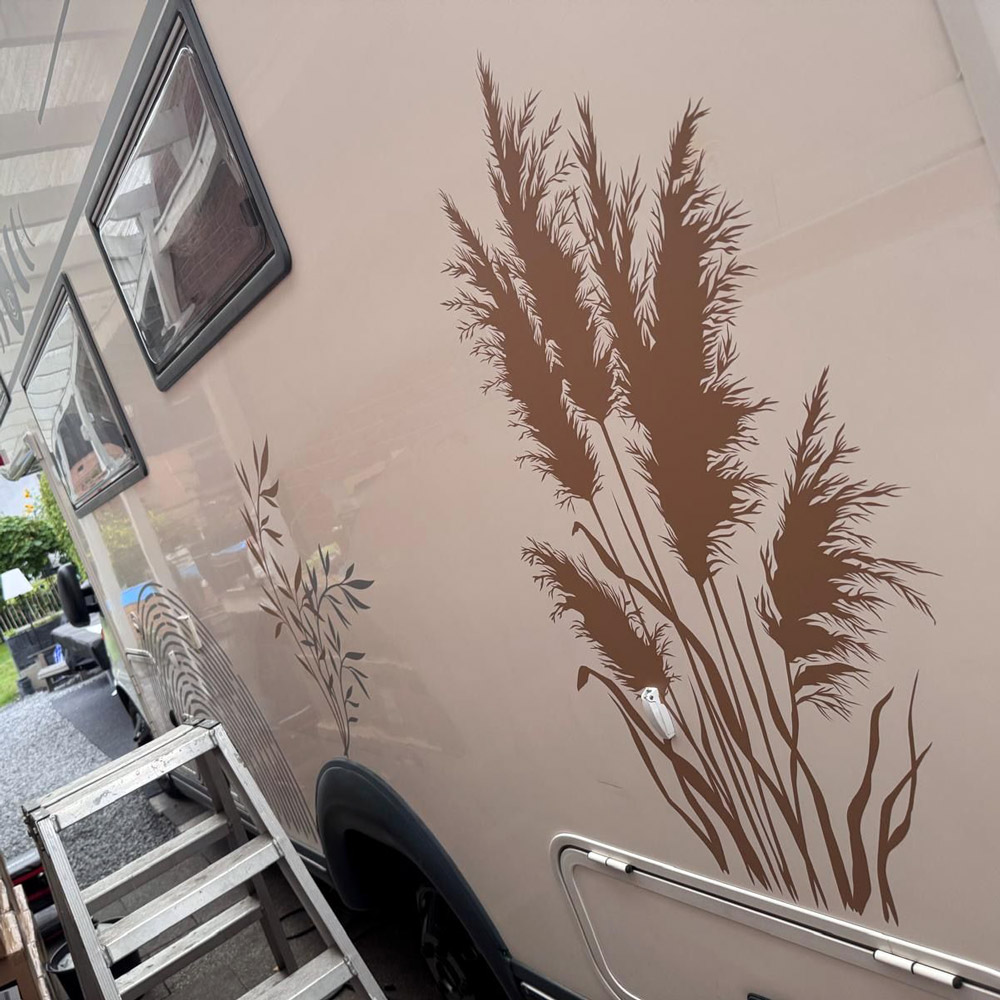 Flauschiges Pampasgras in Braun an der Außenwand eines Wohnwagens