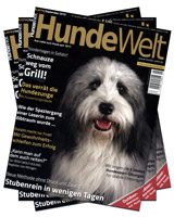 Cover von HundeWelt - Ausgabe 09/2019