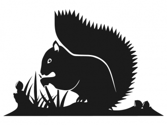 Wandtattoo Eichhörnchen Motivansicht