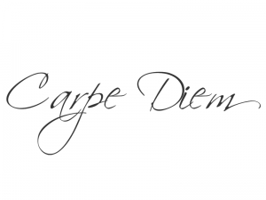 Wandtattoo Carpe diem Motivansicht