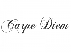 Wandtattoo Carpe Diem Motivansicht