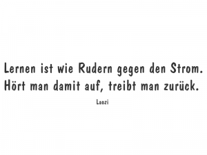 Wandtattoo Lernen ist wie Rudern... Motivansicht
