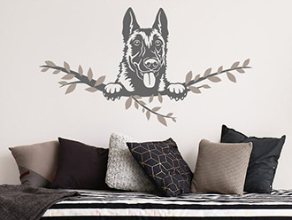 Wandtattoo Malinois