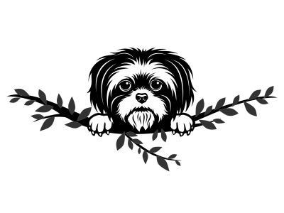 Wandtattoo Shih Tzu Motivansicht