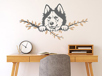 Wandtattoo Sibirischer Husky