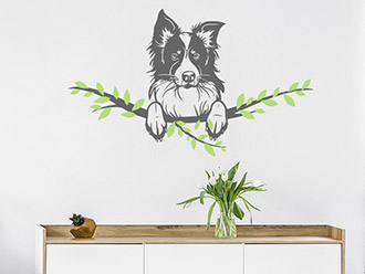 Wandtattoo Border Collie