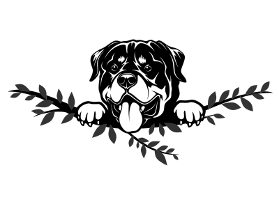 Wandtattoo Rottweiler Motivansicht