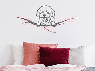 Wandtattoo Bichon Frisé