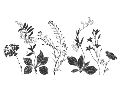 Wandtattoo Wiesenkräuter Motivansicht