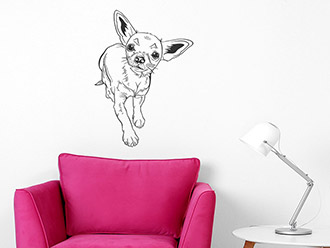 Wandtattoo Frecher Chihuahua