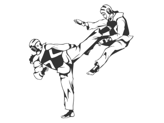 Wandtattoo Tae Kwon Do Motivansicht