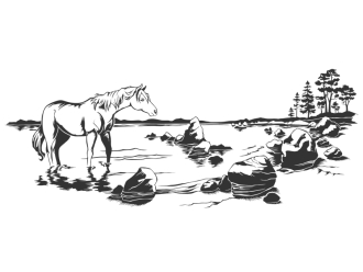 Wandtattoo Wildpferd am Seeufer Motivansicht