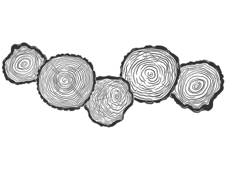 Wandtattoo Wandbanner Holzscheiben Motivansicht