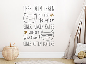 Wandtattoo Katze und Kater