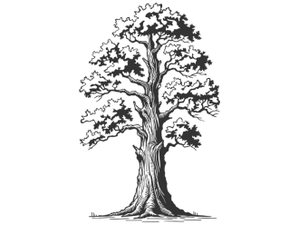 Wandtattoo Üppiger Baum Motivansicht