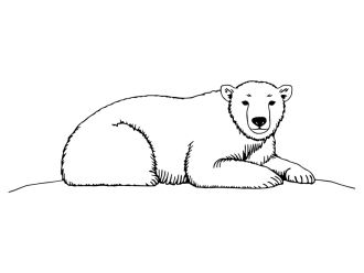 Wandtattoo Eisbär Design Motivansicht