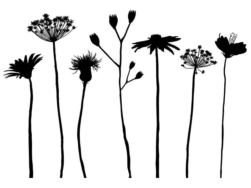 In Outdoor Teppich Blumen Motiv Schwarz Weiss Mirai Trading Gmbh