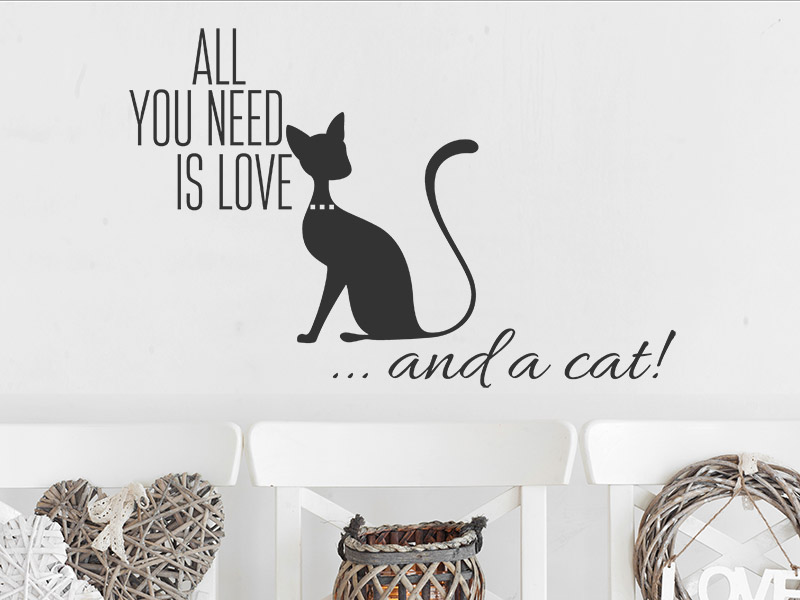 Wandtattoo Love and a cat
