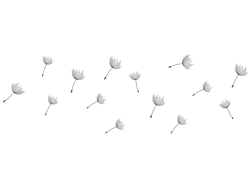 A350 Wandtattoo Mit 2 Pusteblumen Und 25 Samen – 120x80 Cm, Creme-weiß, In 40 Farben Und 3 Größen Erhältlich