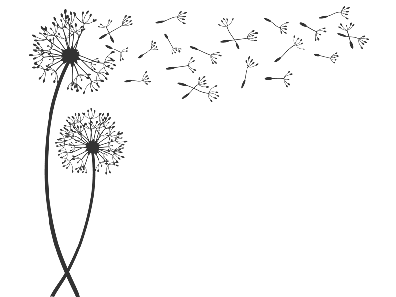 Stilisierte Pusteblume Tattoo Tattooidee Com