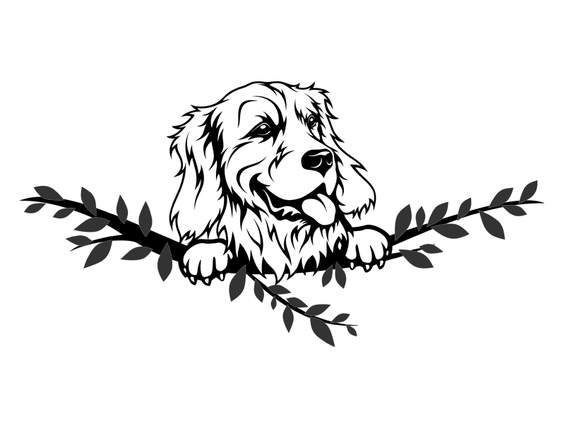 23+ Golden Retriever Black And White Clipart