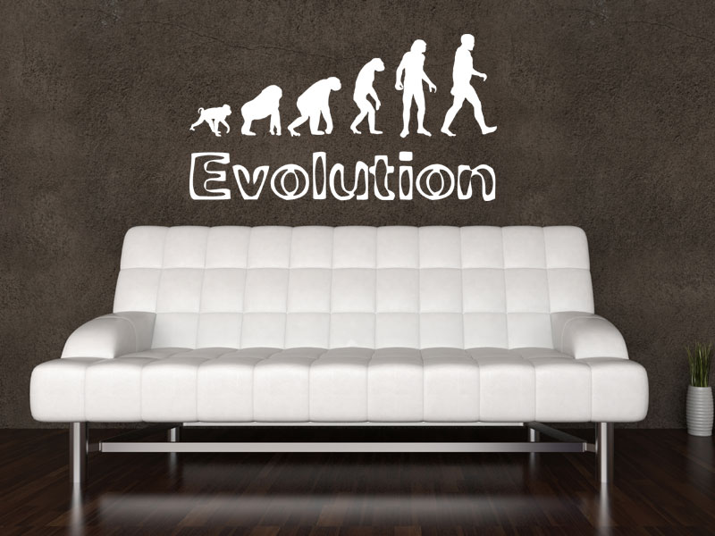 Wandtattoo Evolution
