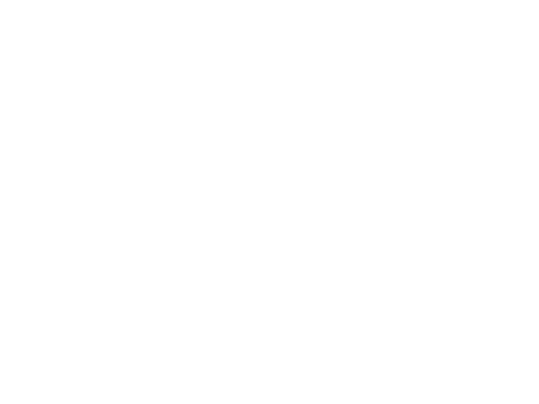 Wandtattooladen Lilienranke Wandtattoo – Weiß, 42x80 Cm, Selbstklebend Für Glatte Wände