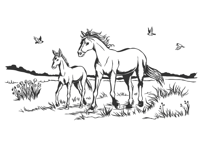 Wandtattoo Pferde auf Koppel Wandtattoos.de