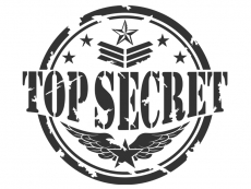 Wandtattoo Button Top Secret Motivansicht