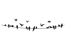 Wandtattoo Vögel auf Stromleitung Motivansicht