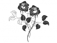 Wandtattoo Rosen Motivansicht