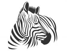 Wandtattoo Wildes Zebra Motivansicht