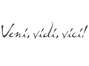 Wandtattoo Veni, vidi, vici! Motivansicht