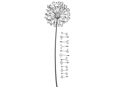 Wandtattoo Uhr Pusteblume Motivansicht