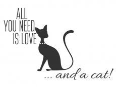 Wandtattoo Love and a cat Motivansicht