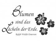 Wandtattoo Blumen sind das... Motivansicht