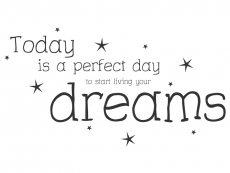 Wandtattoo Today is a perfect day Motivansicht
