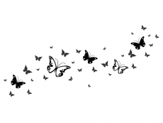 Wandtattoo Schmetterlingsdeko Motivansicht