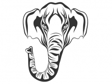 Wandtattoo Elefantenkopf Motivansicht