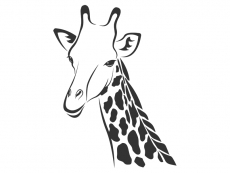 Wandtattoo Giraffe Motivansicht
