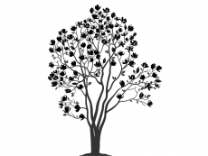 Wandtattoo Magnolien Baum Motivansicht