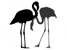 Wandtattoo Flamingos Motivansicht