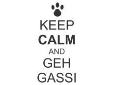 Wandtattoo Keep calm and geh Gassi Motivansicht