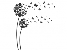 Wandtattoo Blütenkreise mit Schmetterlingen Motivansicht