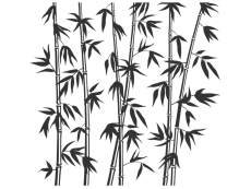Wandtattoo Bambuspflanzen XXL Motivansicht