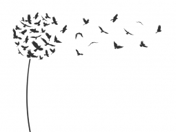 Wandtattoo Pusteblume Fliegende Vögel Motivansicht
