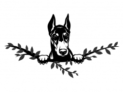 Wandtattoo Dobermann Motivansicht