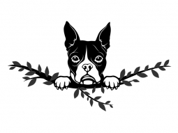 Wandtattoo Boston Terrier Motivansicht