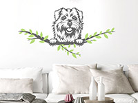 Wandtattoo Norfolk Terrier